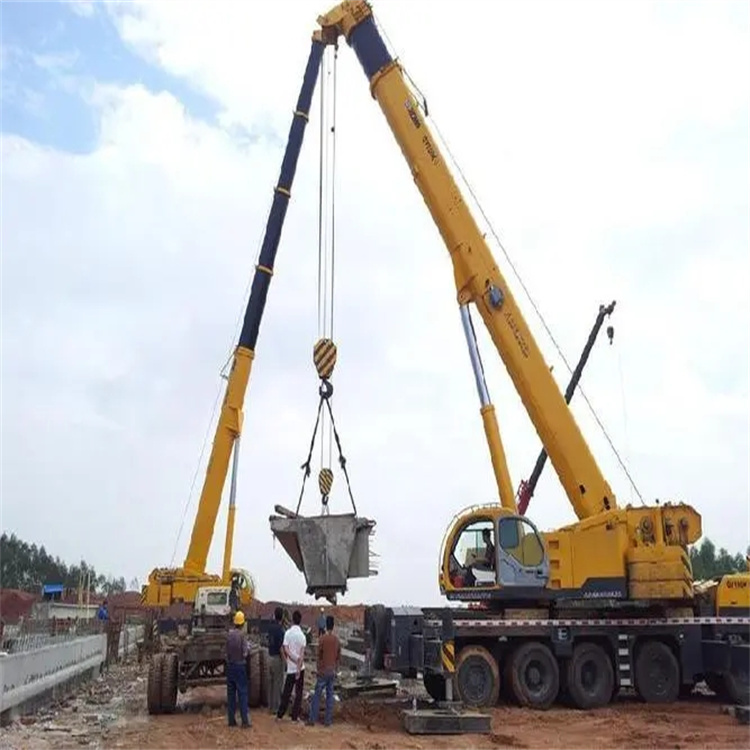 湖口小型吊机出租电话|厂房设备吊装方案|24小时服务覆盖